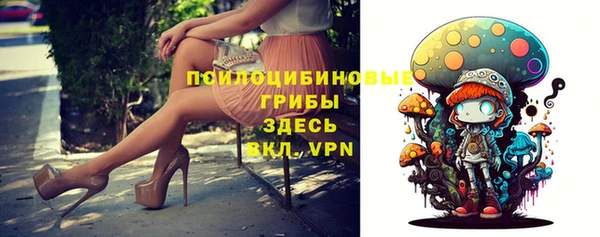 СК Заволжье