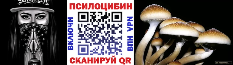Псилоцибиновые грибы MAGIC MUSHROOMS  Касимов 