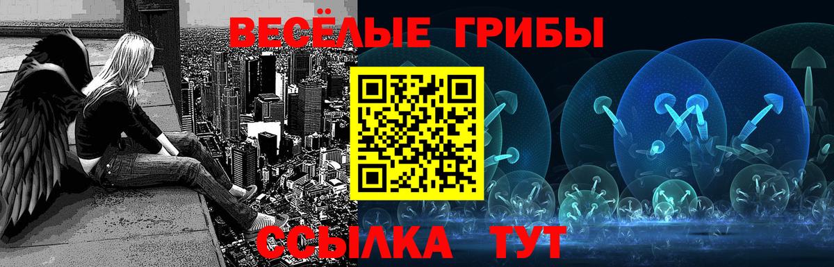 Меф   Кокаин  Касимов  ГАШИШ  Вход с VPN 
