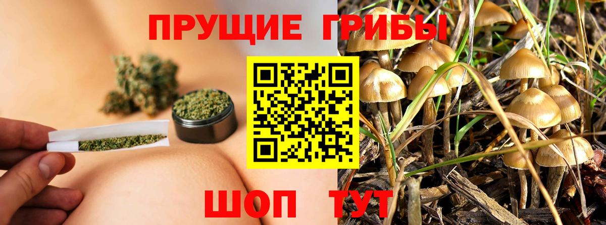 Псилоцибиновые грибы ЛСД  Вход с VPN  дарнет шоп  Касимов  Галлюциногенные грибы Psilocybe 